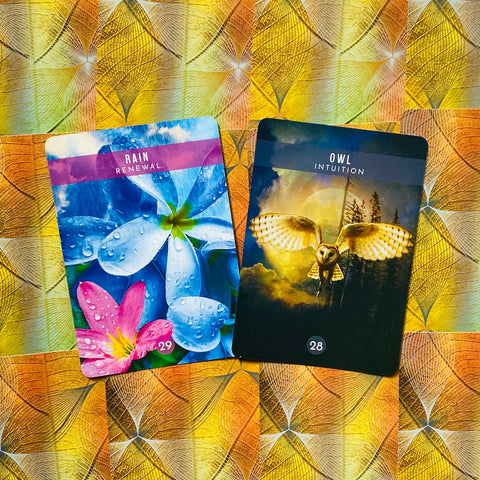Messages From The Spirits Of Nature Oracle Cards Deck & Guidebook With Bag