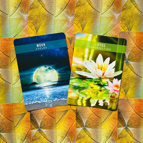 Messages From The Spirits Of Nature Oracle Cards Deck & Guidebook With Bag