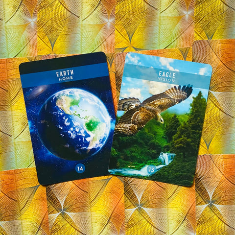 Messages From The Spirits Of Nature Oracle Cards Deck & Guidebook With Bag