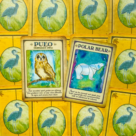 Messages From Your Animal Spirit Guides Wisdom Oracle Cards Deck With Bag