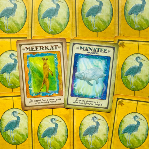 Messages From Your Animal Spirit Guides Wisdom Oracle Cards Deck With Bag