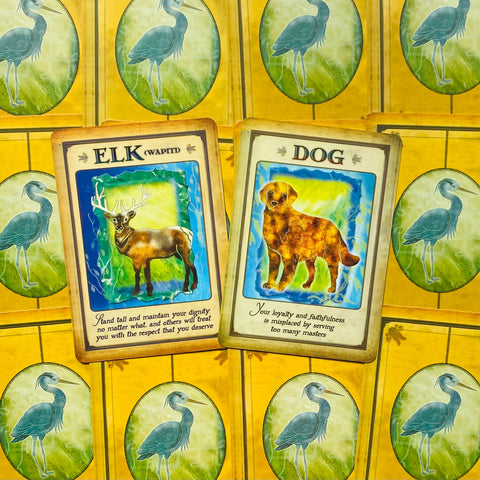 Messages From Your Animal Spirit Guides Wisdom Oracle Cards Deck With Bag