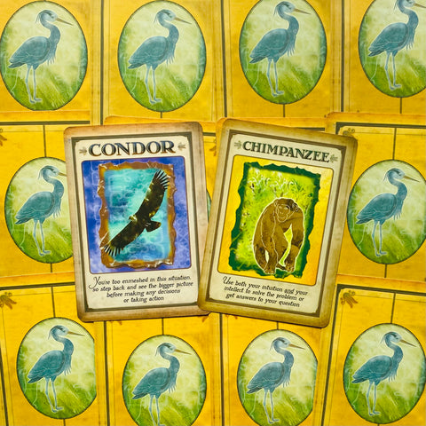 Messages From Your Animal Spirit Guides Wisdom Oracle Cards Deck With Bag