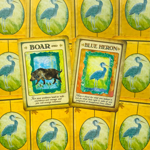 Messages From Your Animal Spirit Guides Wisdom Oracle Cards Deck With Bag