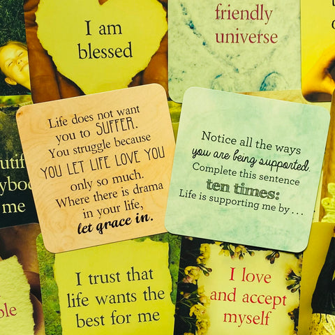 Life Loves You Affirmations Cards Deck Louise Hay R. Holden Oracle With Bag