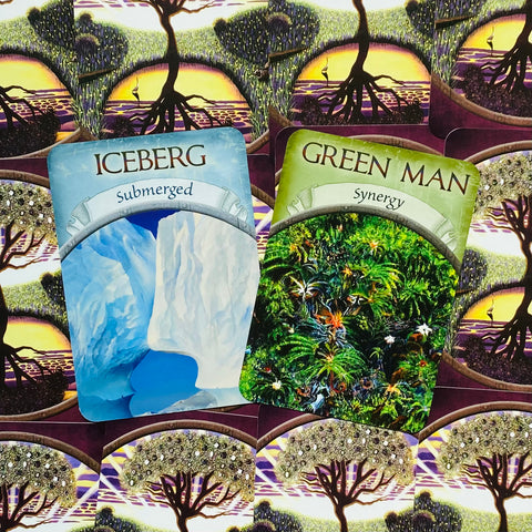 Earth Magic Oracle Cards Deck And Guidebook  By Steven D. Farmer With Bag