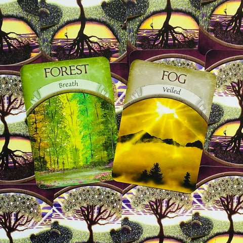 Earth Magic Oracle Cards Deck And Guidebook  By Steven D. Farmer With Bag