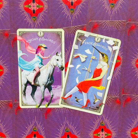 The Tarot Of Curious Creatures Card Deck & Guidebook Chris-Anne