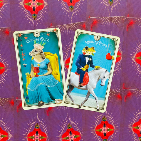 The Tarot Of Curious Creatures Card Deck & Guidebook Chris-Anne