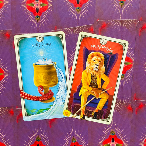 The Tarot Of Curious Creatures Card Deck & Guidebook Chris-Anne