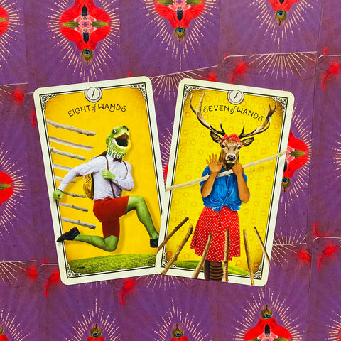 The Tarot Of Curious Creatures Card Deck & Guidebook Chris-Anne