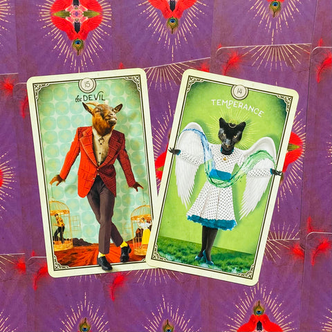 The Tarot Of Curious Creatures Card Deck & Guidebook Chris-Anne