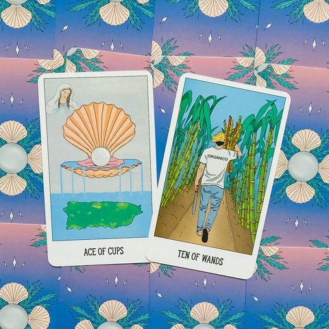Secrets Of Paradise Tarot Card Deck And Guidebook Latin American With Bag