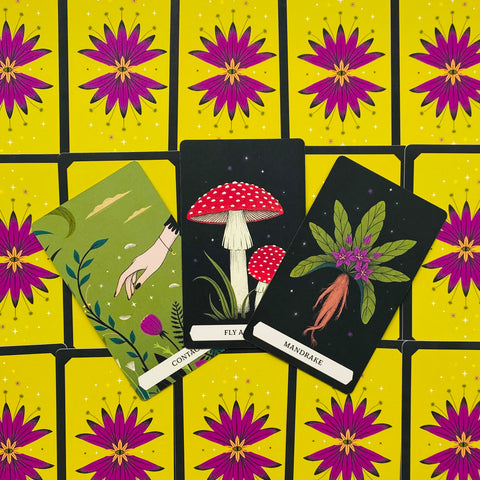 The Secret Oracle Of The Green Witch Cards Deck & Guidebook With Bag