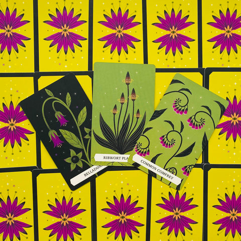 The Secret Oracle Of The Green Witch Cards Deck & Guidebook With Bag