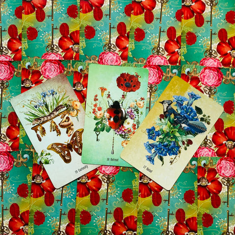 Unlocking The Secret Garden Oracle Crads Deck & Guidebook