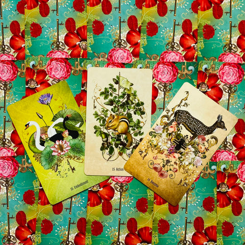 Unlocking The Secret Garden Oracle Crads Deck & Guidebook