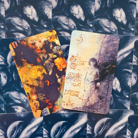 The River Oracle Cards Deck And Guidebook Llewellyn By Nick Bantock