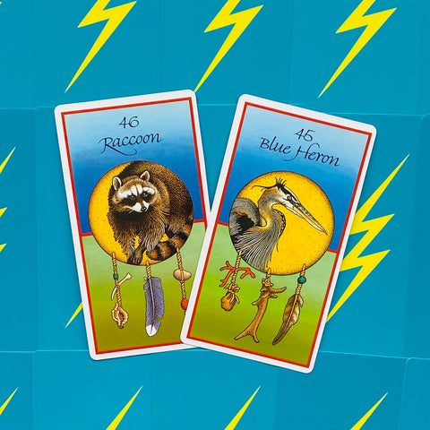 Medicine Cards Deck And Book Set Esoteric Telling Animals