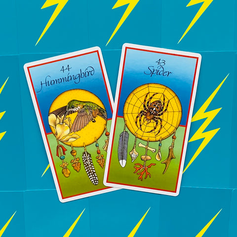 Medicine Cards Deck And Book Set Esoteric Telling Animals