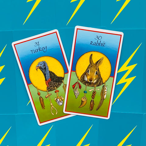 Medicine Cards Deck And Book Set Esoteric Telling Animals