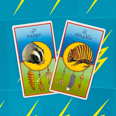 Medicine Cards Deck And Book Set Esoteric Telling Animals