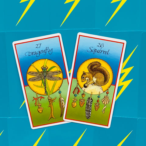 Medicine Cards Deck And Book Set Esoteric Telling Animals