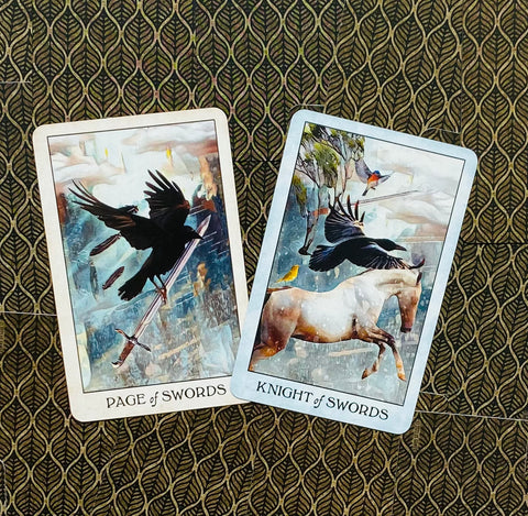 Crow Tarot Pocket Edition Cards Deck Animals Birds Wisdom With Bag