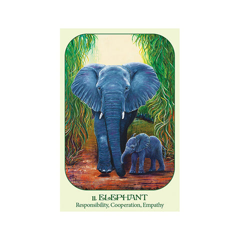 Animal Voices Oracle Cards Deck with Guidebook by Blue Angel