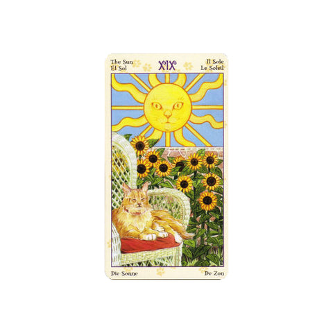 Tarot of Pagan Cats Mini Tarot Deck 78 Cards Lo Scarabeo New Sealed