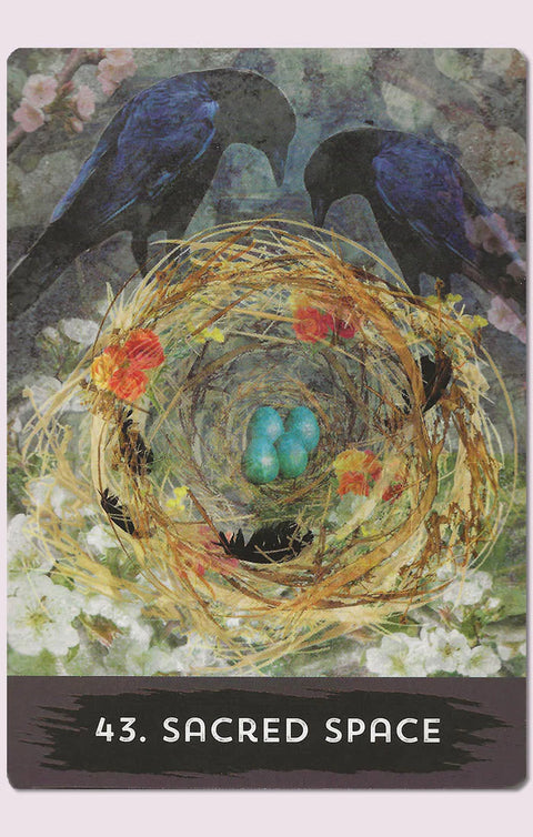 Urban Crow Oracle Cards Deck & Guidebook