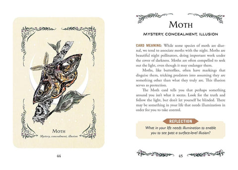 The Green Witch's Oracle Cards Deck by Arin Murphy-Hiscock Adams Media