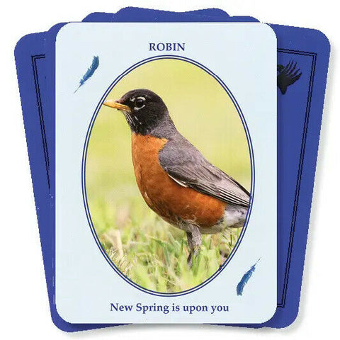Feathered Omens Messenger Birds Spirit World Oracle Cards & Book Set