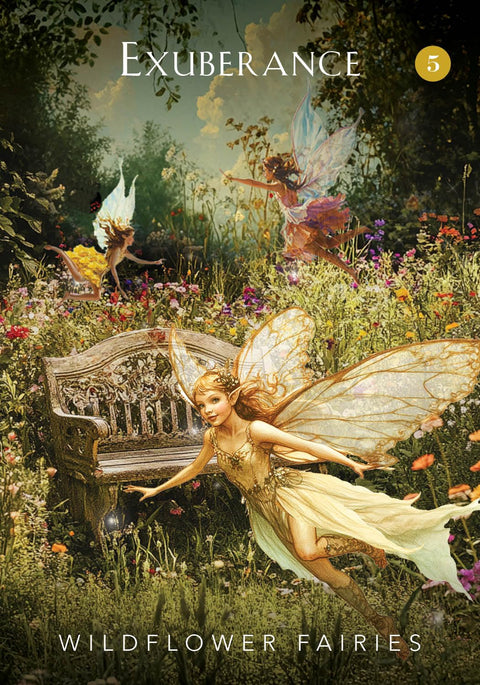 The Mystical Garden Oracle Card Deck by Denise Linn, 44 Cards + Guidebook (EN)
