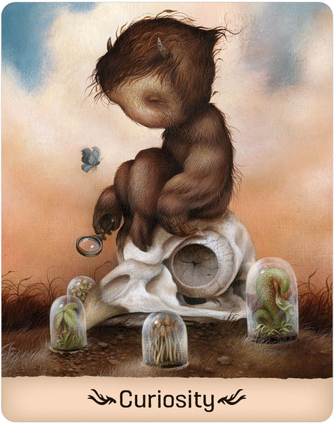Gentle Creatures Wisdom Oracle Deck & Guidebook by Dan May US Games