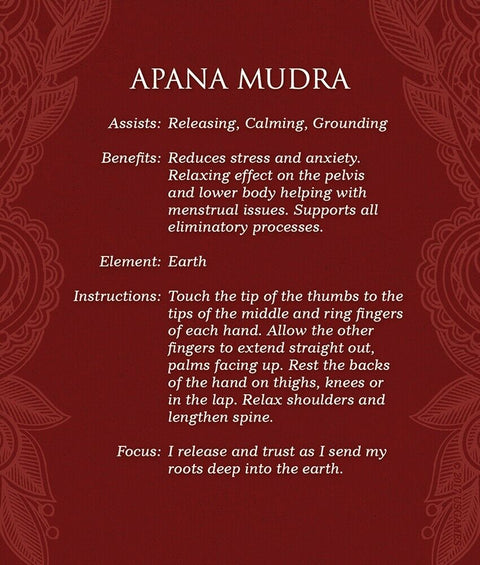 Mudras for Awakening the Five Elements Deck & Guidebook Set US Games
