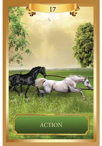 Energy Oracle Cards – Chakra, Spirit Guides, Angel Deck & Guidebook