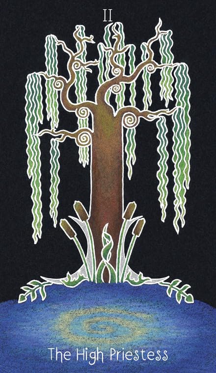 Animystic Tarot Deck 78 Cards & Guidebook Nature Magic by Red Feather