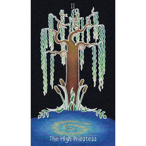 Animystic Tarot Deck 78 Cards & Guidebook Nature Magic by Red Feather