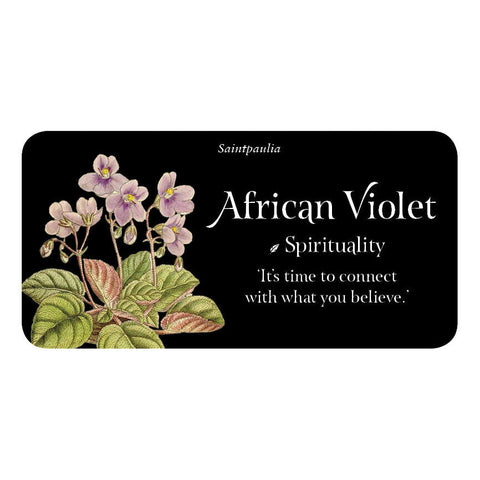 Language of Flowers Oracle Inspiration Cards Deck Cheralyn Darcey New