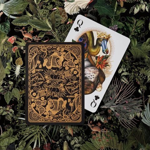 Moooi Collector's Edition Playing Cards Box Set Theory11