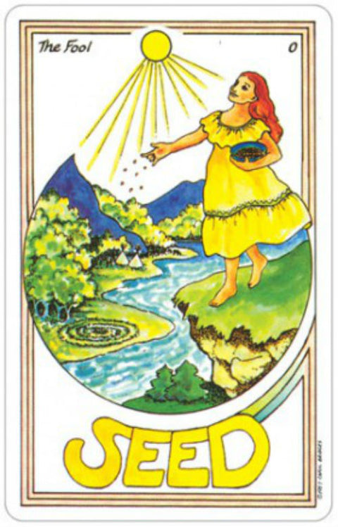 Medicine Woman Tarot Card Deck 78 Cards by US Games New Sealed