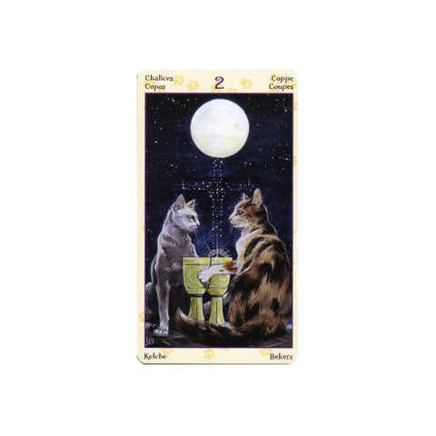 Tarot of Pagan Cats Mini Tarot Deck 78 Cards Lo Scarabeo New Sealed
