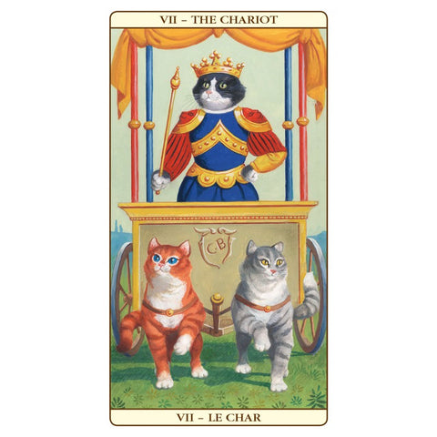 Marseille Cat Tarot Deck 78 Cards by Lo Scarabeo with Guidebook New