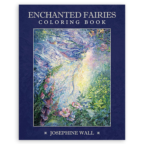Enchnated Fairies Coloring Book Blue Angel