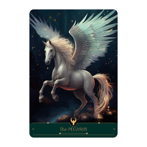 The Phoenix Cards AGM