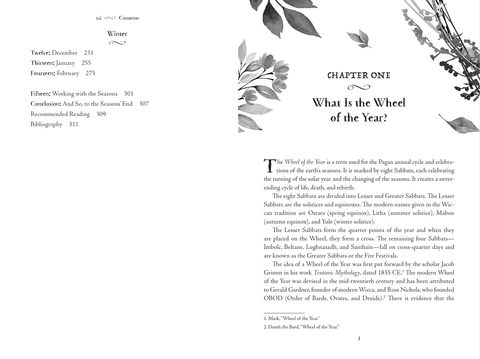 A Witch For Every Season Patterson Book Spells Rituals Festivals Llewellyn NEW