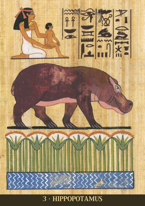 Egyptian Sacred Animals Oracle Cards Deck Lo Scarabeo w/ Guidebook