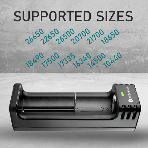 everActive LC-100C Smart Lithium USB-C battery charger