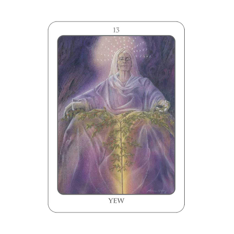 The Tree Angel Oracle Deck And Book Divination Earth Dancer Fred Hageneder NEW